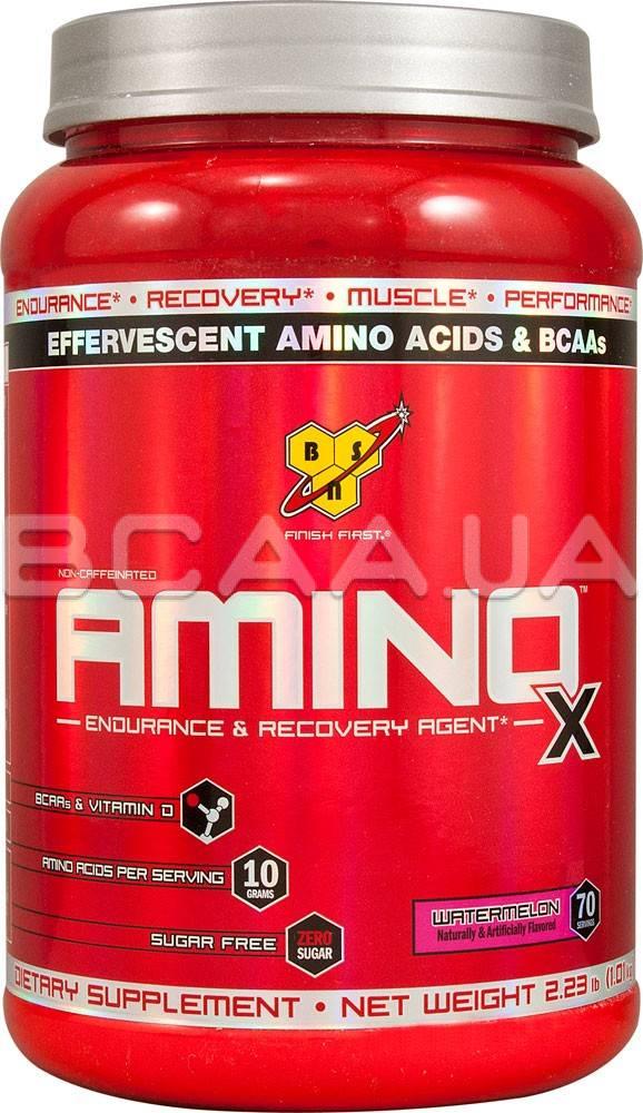 Amino X 1,01 кг