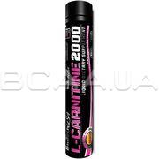 L-Carnitine 2000 мг + Ampoule 25 мл