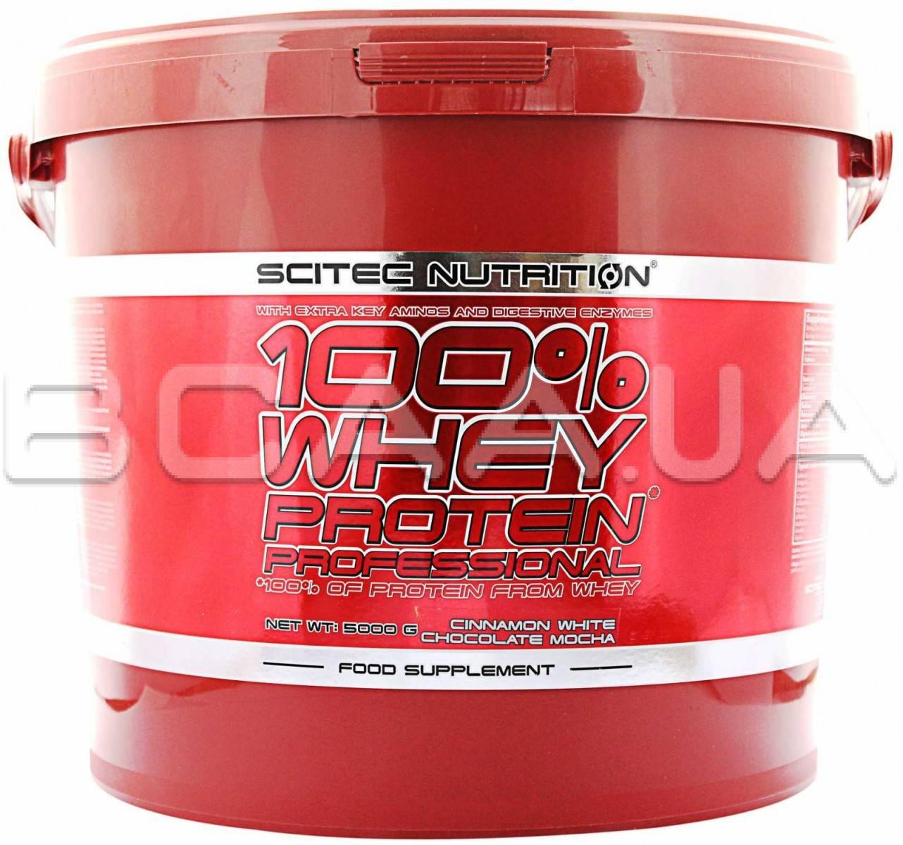 Scitec Nutrition 100 Whey Protein Professional Купить