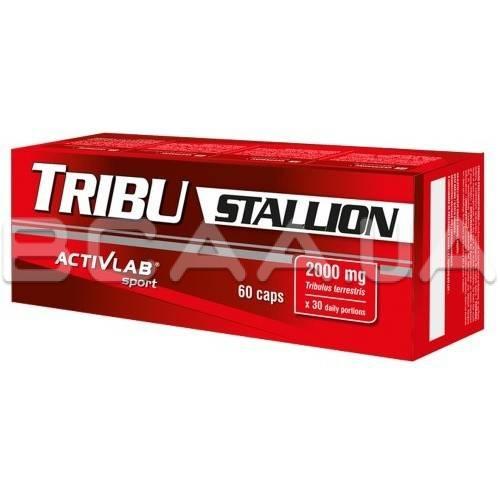 Tribu 2000. Tribu 2000. Tribu 2000. Tribu 2000. Tribu 2000 отзывы.