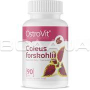 Coleus forskohlii 90 таблеток