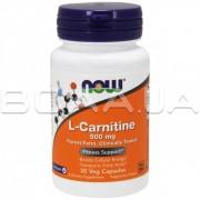 Now Foods, L-Carnitine 500 mg, 30 Veg Capsules
