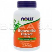 Boswellia Extract 500 mg 90 Softgels