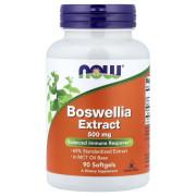 Now Foods, Boswellia Extract 500 mg, 90 Softgels