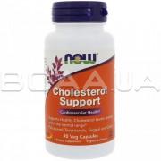 Cholesterol Support 90 Veg Capsules