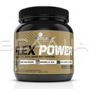Flex Power 504 g