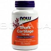 Shark Cartilage 750 mg 100 Capsules