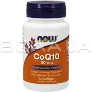 CoQ10 50 mg 50 Softgels