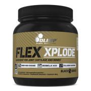 Olimp, Flex Xplode, 504 g