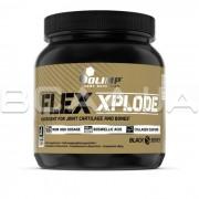 Flex Xplode 504 g