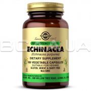 Solgar, Echinacea, Full Potency, 100 Vegetable Capsules