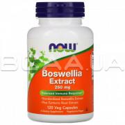 Now Foods, Boswellia Extract, 250 mg, 120 Veg Capsules