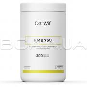 Ostrovit, HMB 750, 300 Capsules