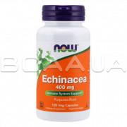 Now Foods, Echinacea 400 mg (Ехінацея), 100 Veg Capsules