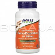 Now Foods, BerryDophilus, Extra Strength, 50 Chewables