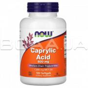 Now Foods, Caprylic Acid 600 mg, 100 Softgels