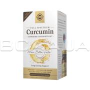 Solgar, Full Spectrum Curcumin, 60 Licaps