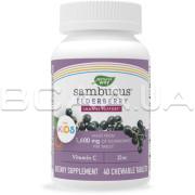 Natures Way, Sambucus Elderberry, Immune Support for Kids Daily, 40 Chewable Tablets