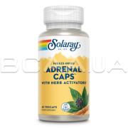 Solaray, Freeze-Dried, Adrenal Caps with Herb Activators, 60 VegCaps