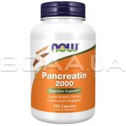 Now Foods, Pancreatin 2000, 250 Capsules