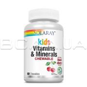 Solaray, Kids Vitamins & Minerals Chewable, 60 Chewables