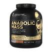 Kevin Levrone, Anabolic Mass, 3000 g