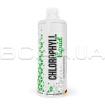 MST, Chlorophyll Liquid, 1000 ml