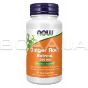Now Foods, Ginger Root Extract 250 mg, 90 Veg Capsules