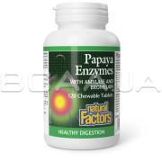 Papaya Enzymes with Amylase & Bromelain, 120 Chewable Tablets