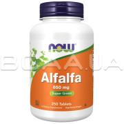 Now Foods, Alfalfa 650 mg, 250 Tablets