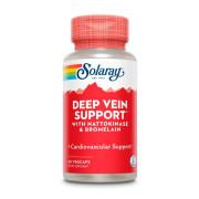 Solaray, Deep Vein Support, 60 VegCaps