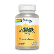 Solaray, Choline & Inositol 250 mg, 100 VegCaps