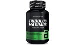 Tribulus Maximus