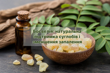 Босвелія: натуральна підтримка суглобів і зменшення запалення