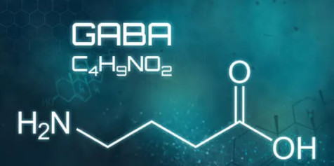 GABA (ГАМК) - как работает, в чем польза и как принимать