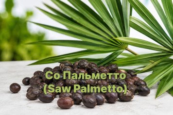 Полезные свойства Со Пальметто (Saw Palmetto) для мужчин и женщин