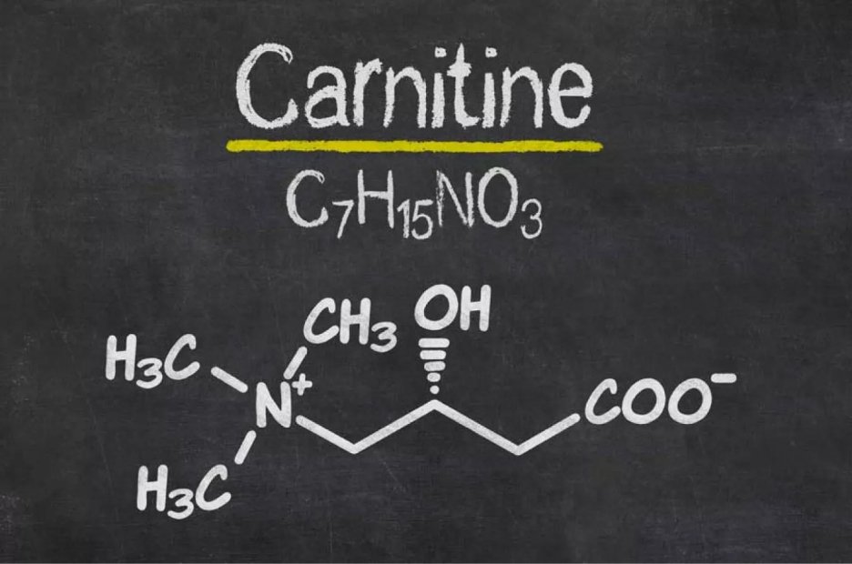 Особливості застосування L-карнітину