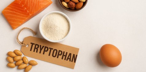 Триптофан - что за аминокислота и для чего нужна организму