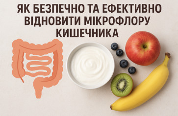 Як безпечно та ефективно відновити мікрофлору кишківника